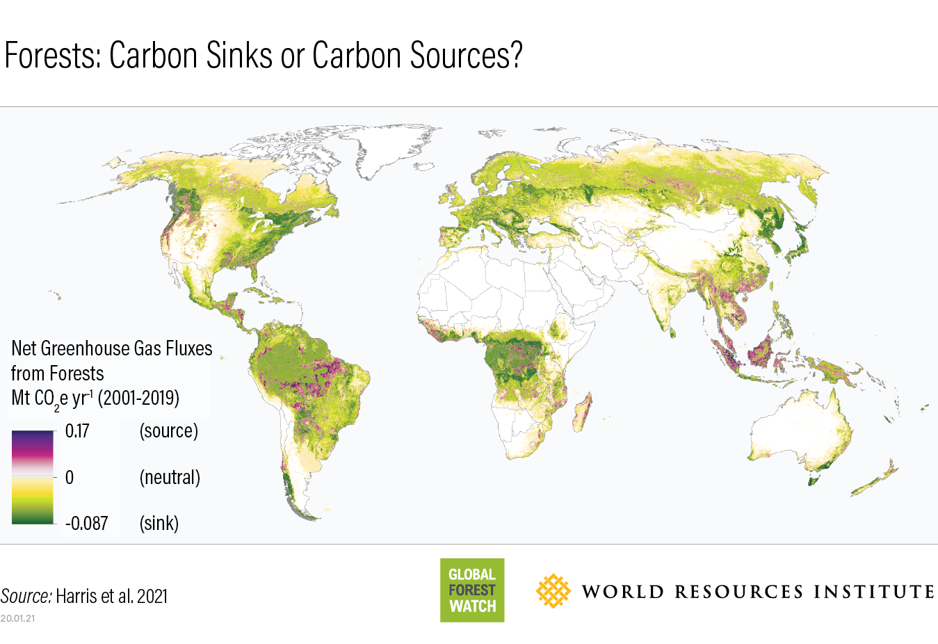 Tropical rainforests are the most important carbon sink of all - collectively sequestering more carbon than temperate or boreal forests.